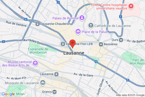 Muster Immobilier International