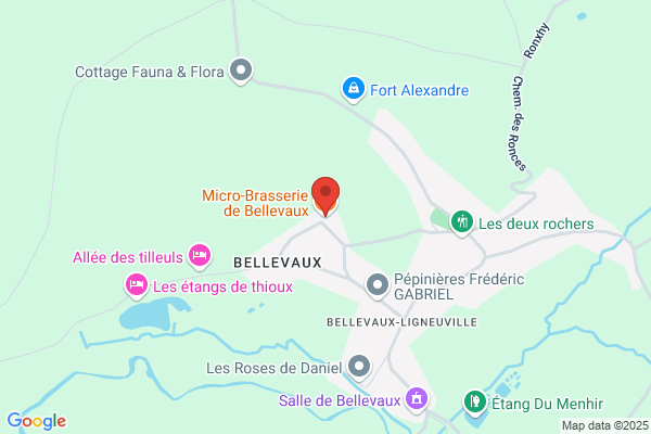 Restaurant Bellevaux