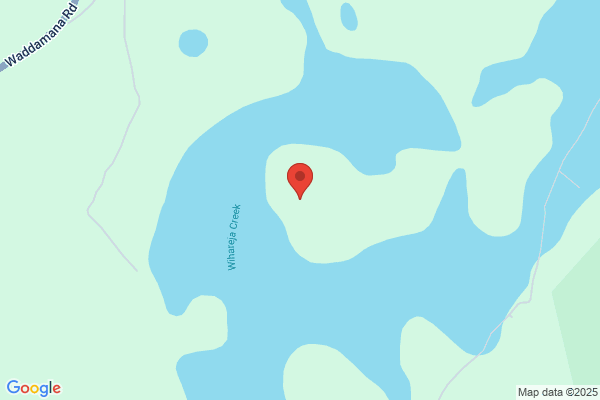 Tasmanie