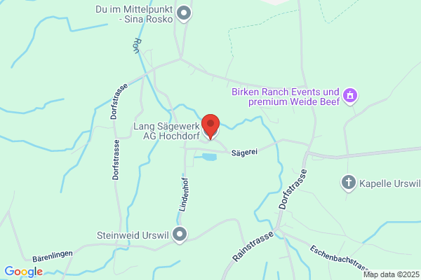 Lang Saegewerk AG