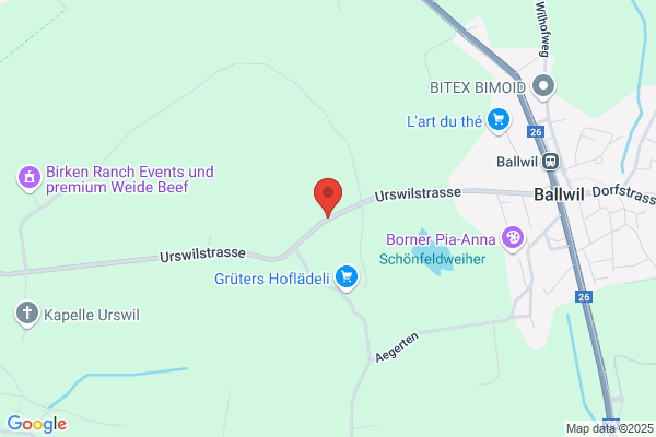 Werner Luethold