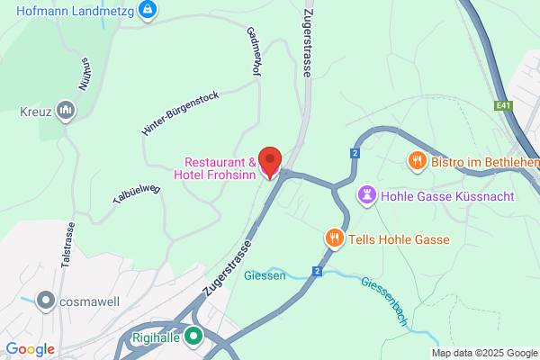 Restaurant & Hotel Frohsinn AG