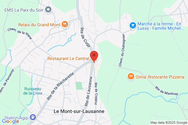 Restaurant le Central