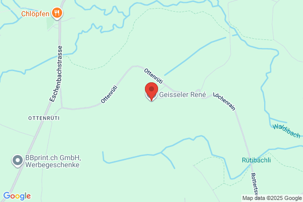 Geisseler und Buehler AG