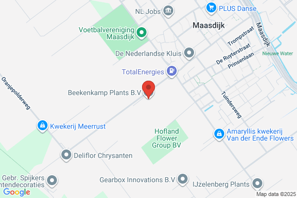 Beekenkamp AG