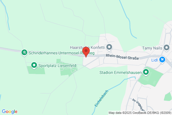 Baere Reinigung P. Niederer