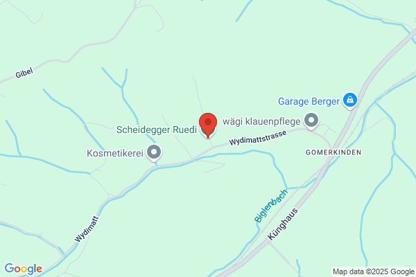 Scheidegger Ruedi