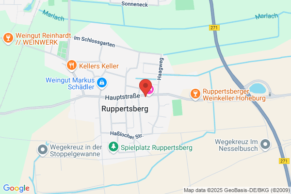 Kaempfer Weine