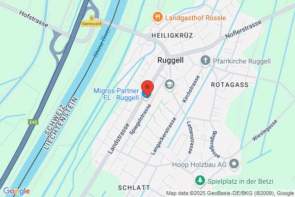 Alea Informatik-Konzepte AG