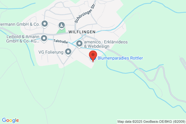 Blumen E. Rothenbuehler