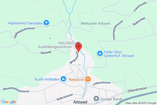 Hohl Heizungen
