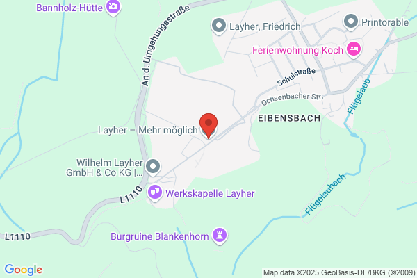 Fehr Gerueste AG