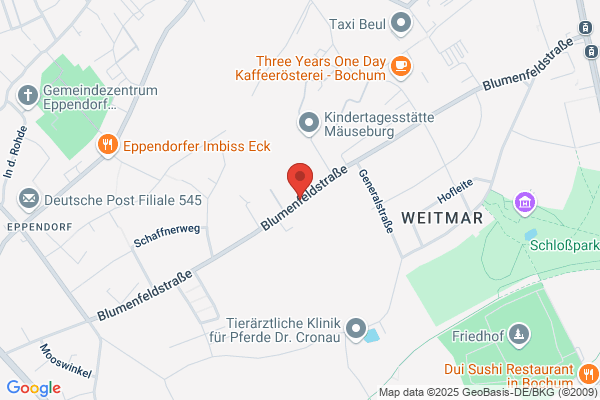 Hospes AG