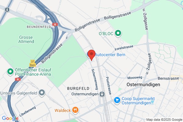 Baumpflege Hofstetter GmbH