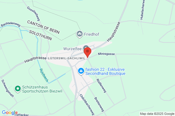 TE Buechibärger Gipser GmbH