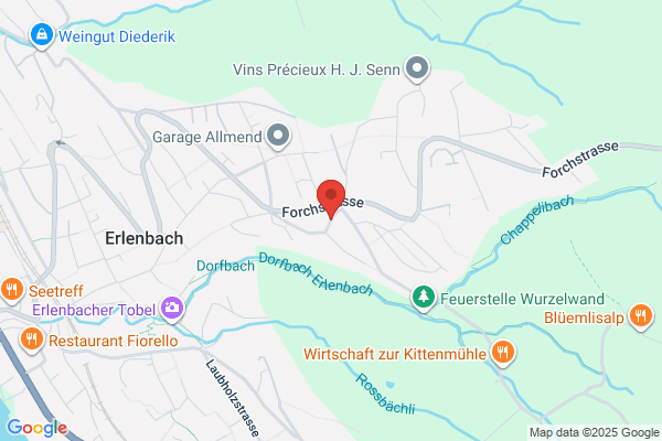 Effulgence Group GmbH