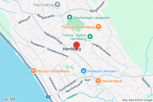 UELI PREISIG CONSULTING und ADVISORY SERVICES