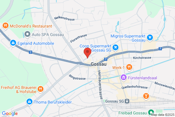 lic.iur. M. Gasser Aebischer