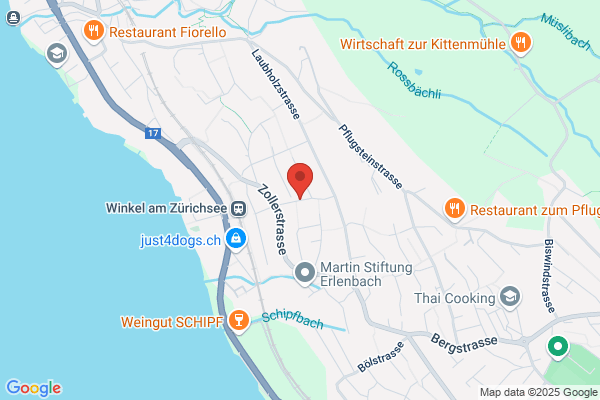 ICM-Verlag AG