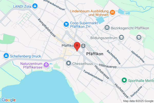 Federli Informatik AG