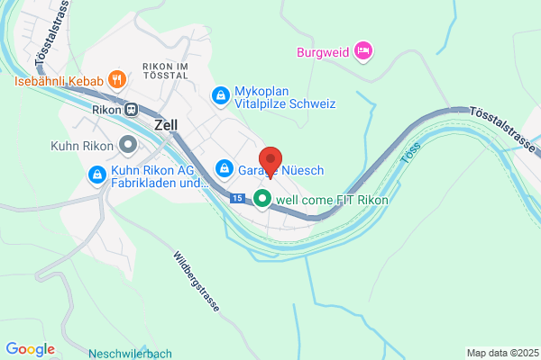 Neuapostolische Kirche in der Schweiz