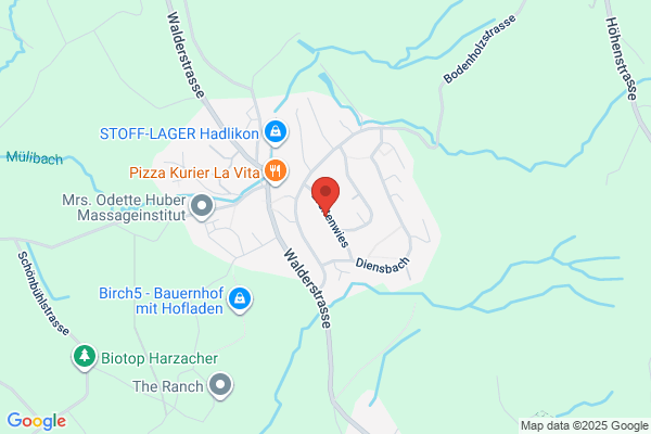 Faewa-Elektronik AG Hadlikon