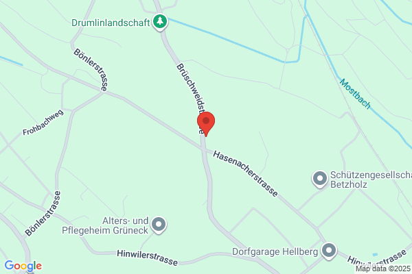 Holzbasis GmbH