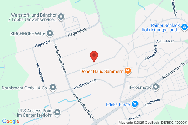Ernst Schenkel