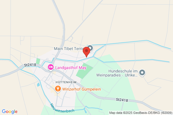 Zauggconsult