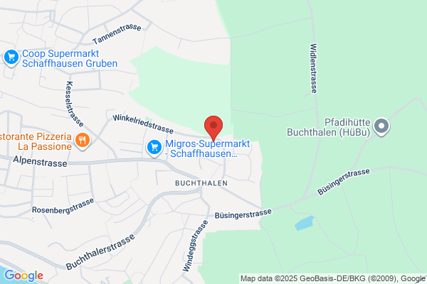 Alcon Grieshaber AG