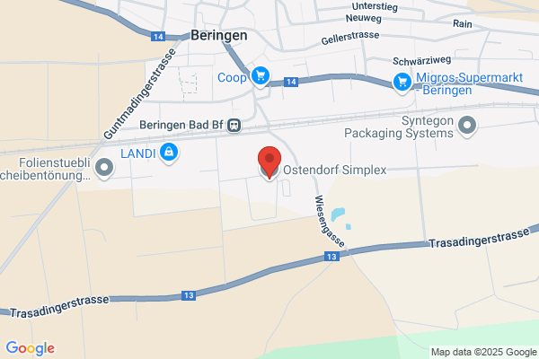 Simplex AG