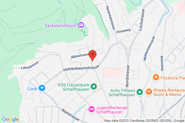Wespennest Entfernen Kanton Schaffhausen