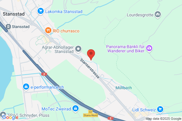 ACG Autcomp Grischa AG