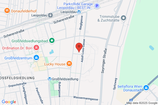 Bigfield GmbH