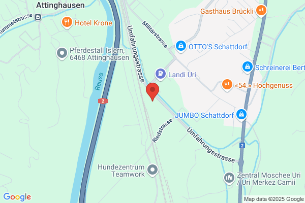 Otto Schuler