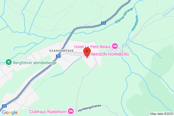 Hotel Hornberg