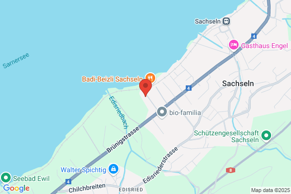 Roli's Fahrschule