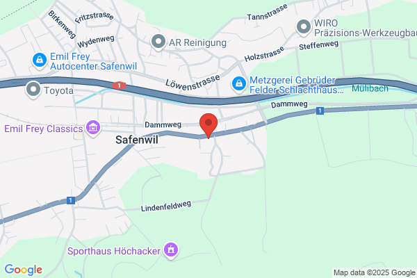 Aerni AG, Automobile
