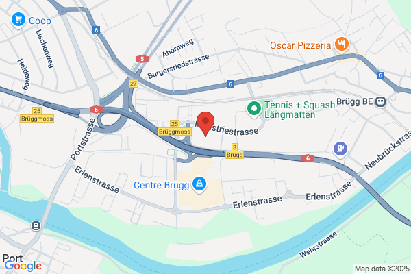 Bruenieranstalt W. Liechti AG