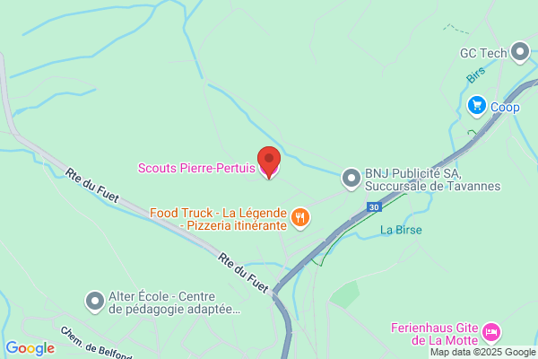 Home Scout