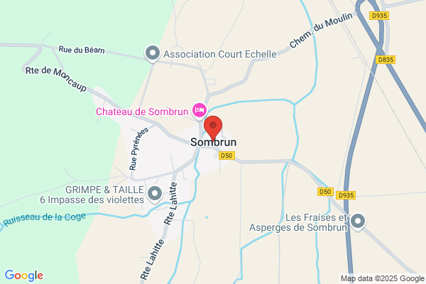 Michel Sombrun