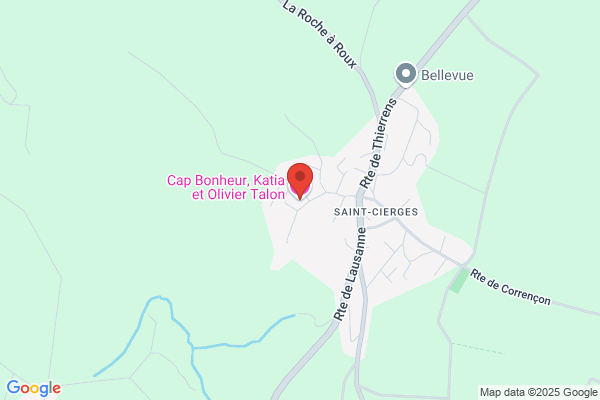Bébé Bonheur