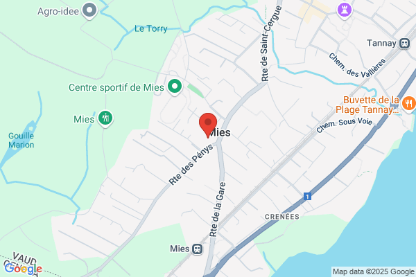 Organisme médico-social vaudois
