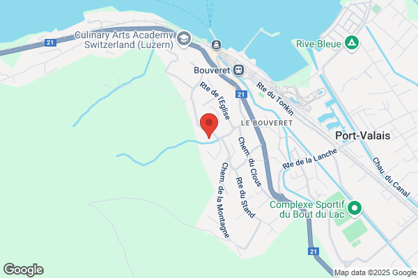 Fondation Chats des Rues