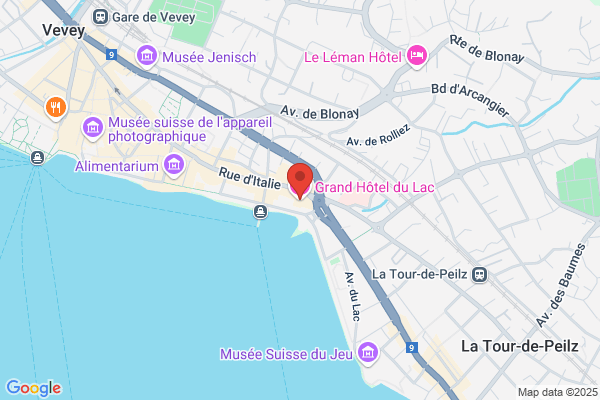 Hôtel du Lac Vevey SA