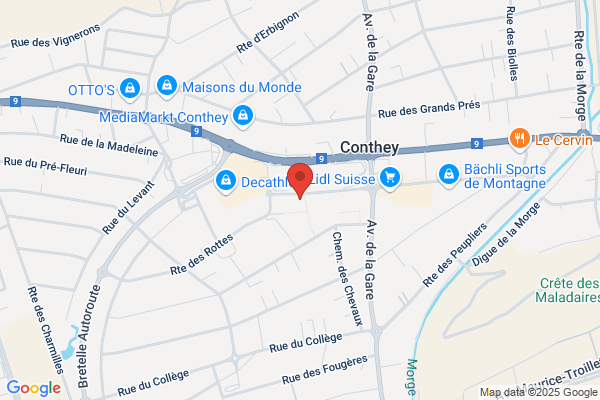 Restorex cuisines professionnelles SA