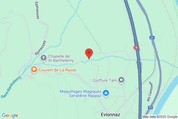 Raymond Dénervaud