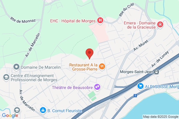 Anne Delacoste