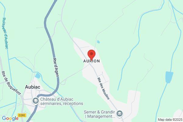 Aurion INC
