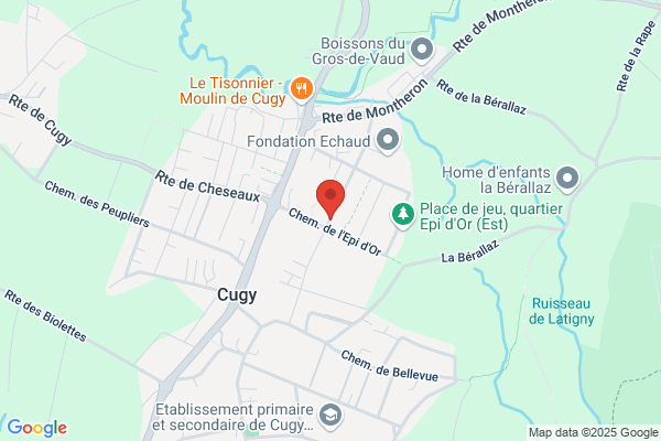 Ligue Vaudoise Infirmes Moteurs Cérébraux